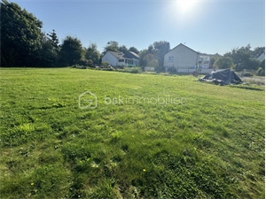 zi-zac à la vente -   35235  THORIGNE FOUILLARD, surface 650 m2 vente zi-zac - UBI443951897